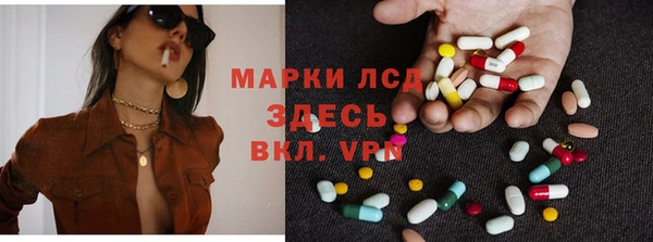 индика Алексин