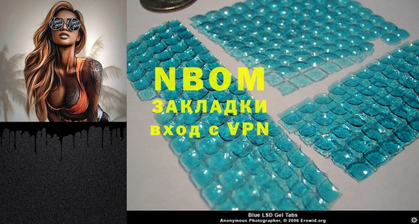 индика Алексин