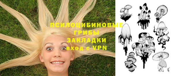 дурь Абдулино