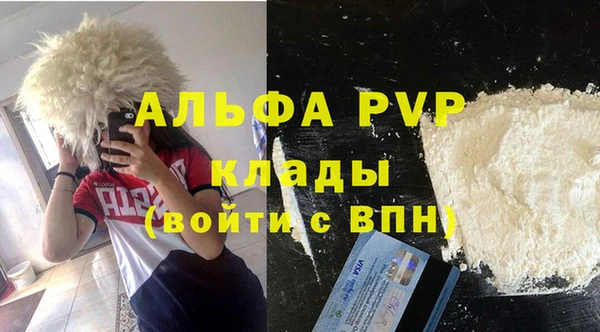 индика Алексин
