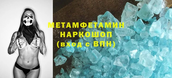 индика Алексин