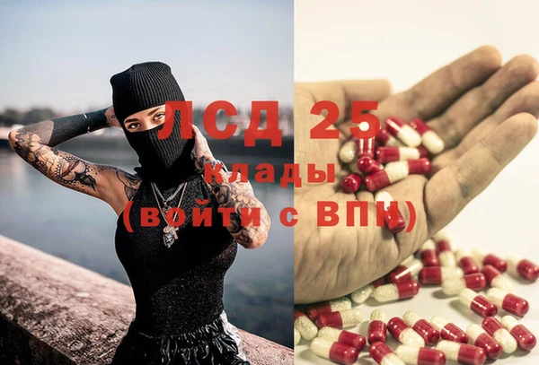 PSILOCYBIN Алзамай