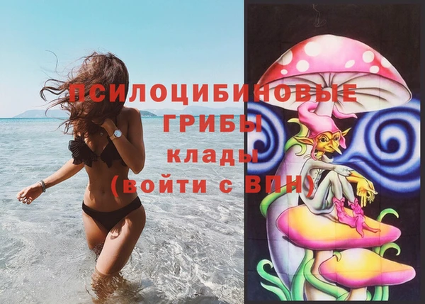 кокаин Алексеевка