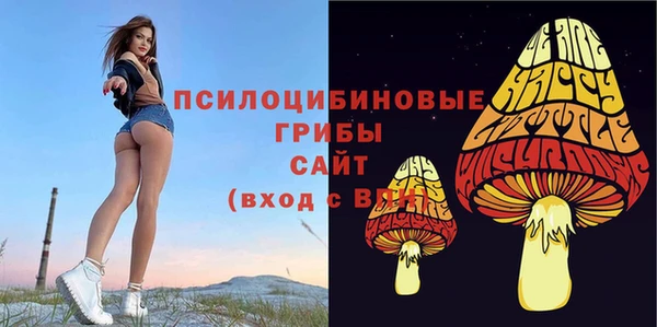 PSILOCYBIN Алзамай
